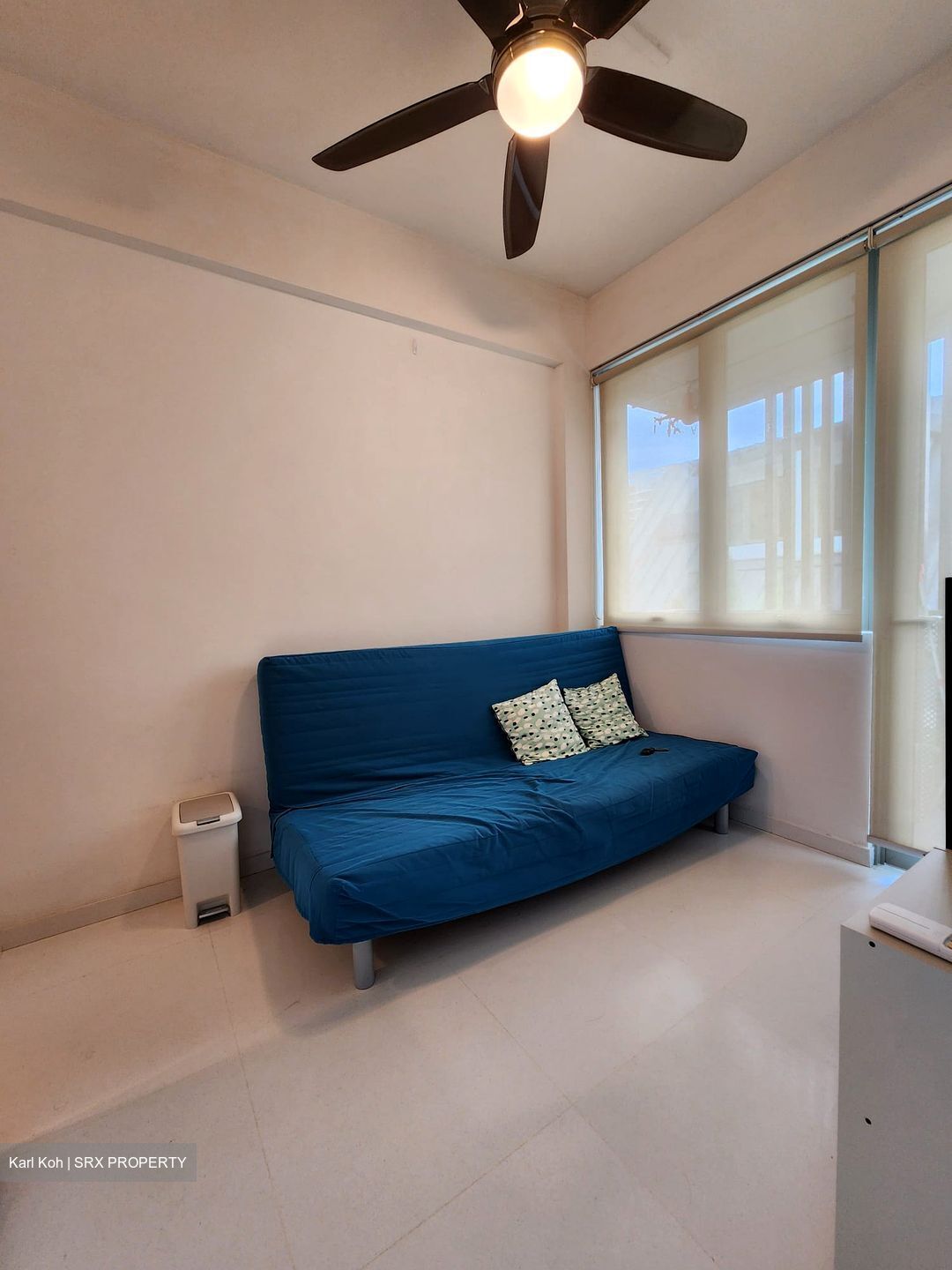 Loft @ Stevens (D10), Apartment #541157291
